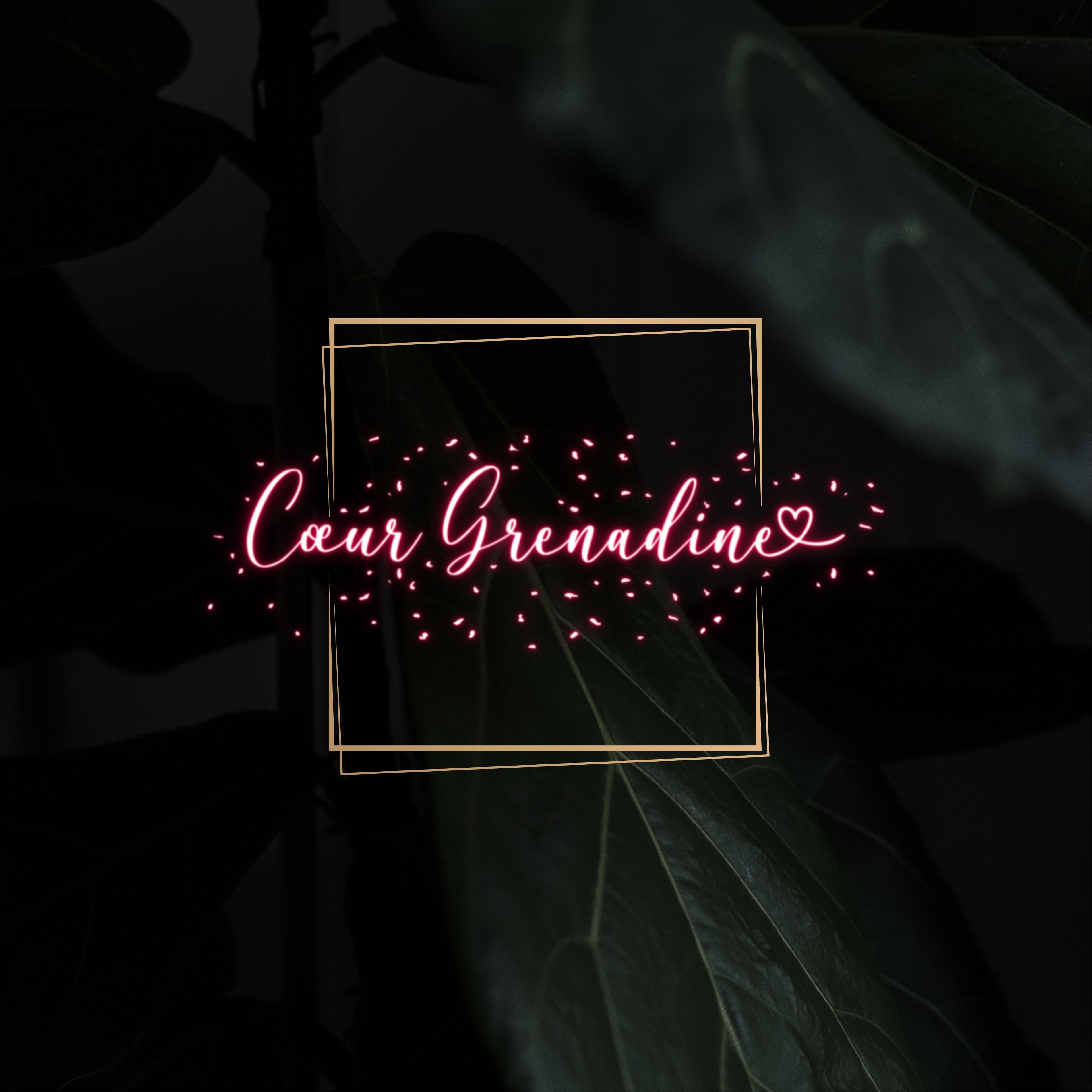 Logo Coeur Grenadine